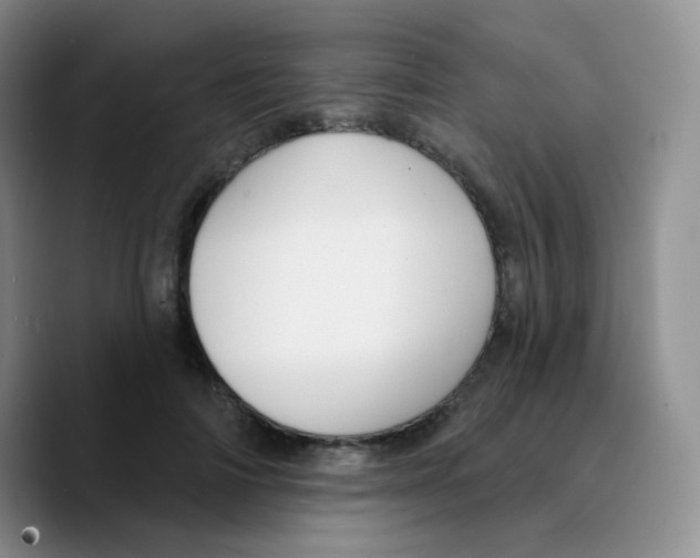 X0000089720698200707201821