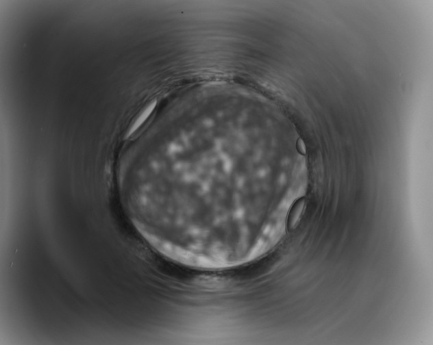 X0000089720699200707201821