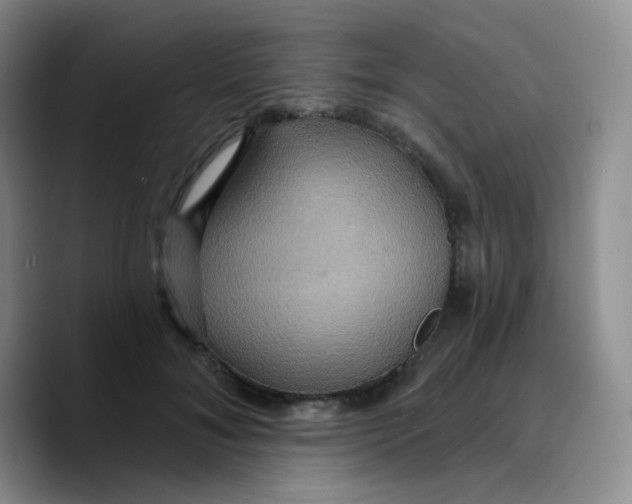 X0000089720700200707201821