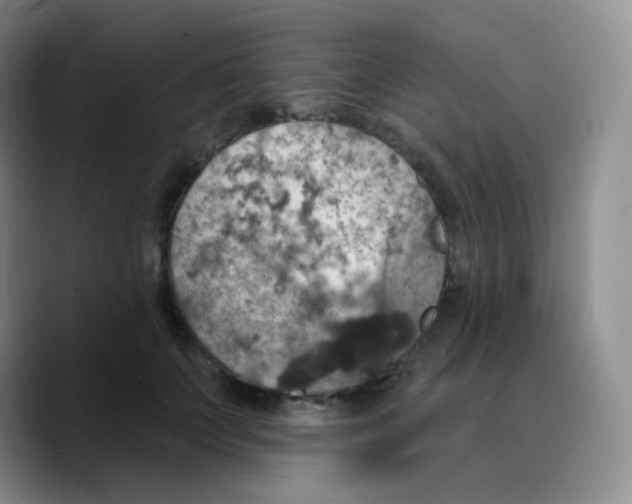 X0000089720703200707201821