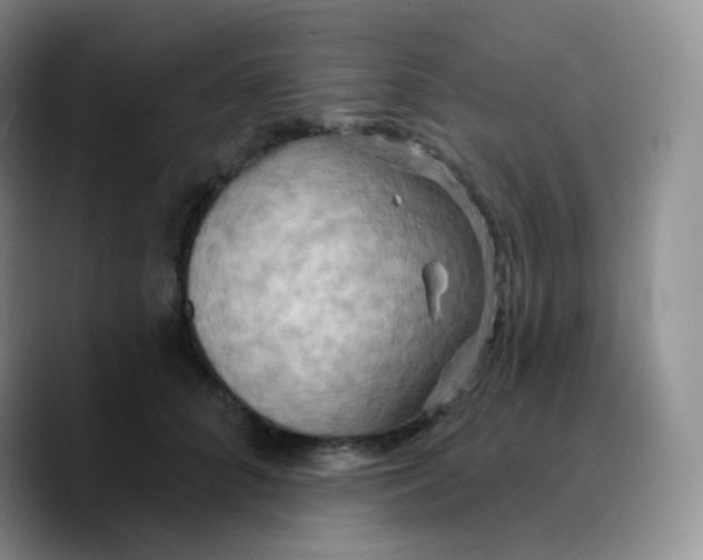 X0000089720704200707201821