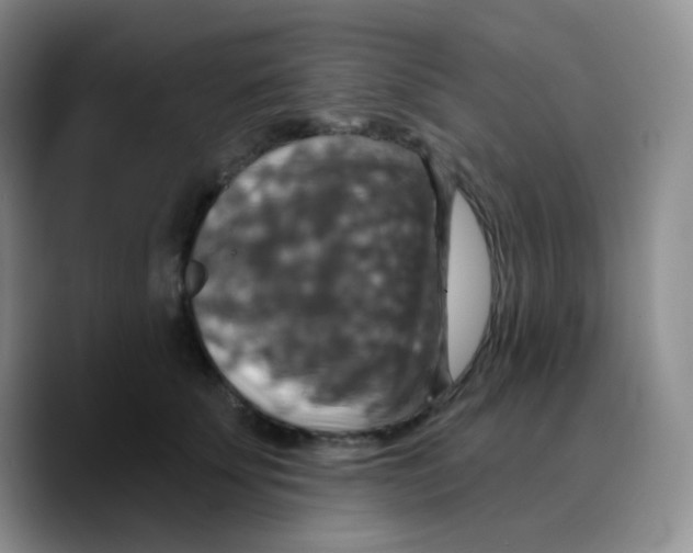 X0000089720707200707201821