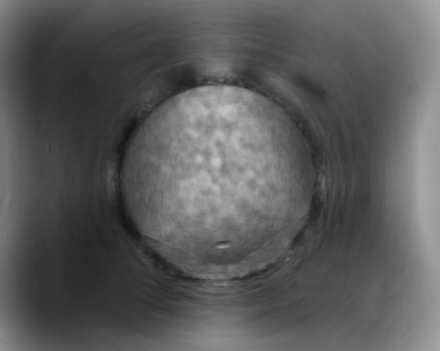 X0000089720708200707201821