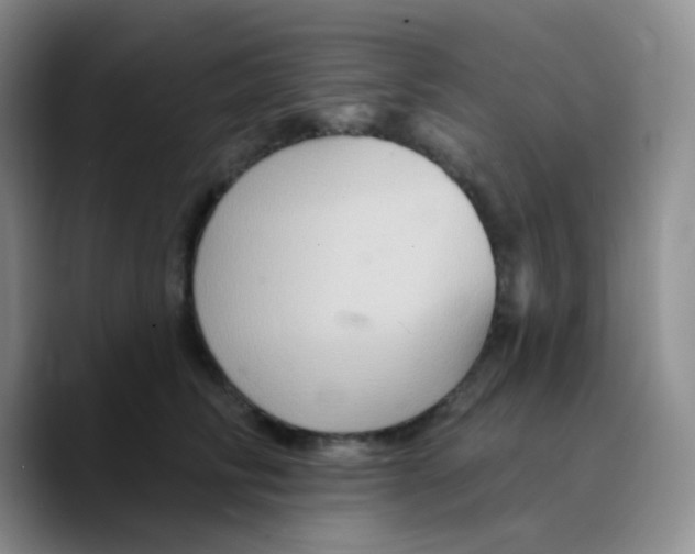 X0000089720710200707201821