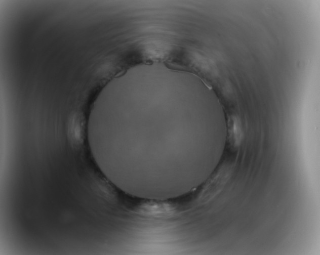 X0000089720712200707201821