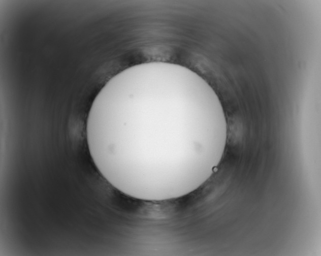 X0000089720713200707201821