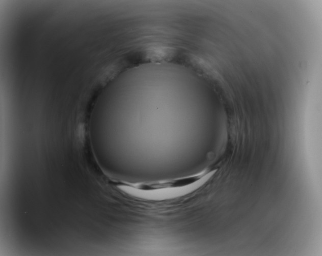 X0000089720716200707201821