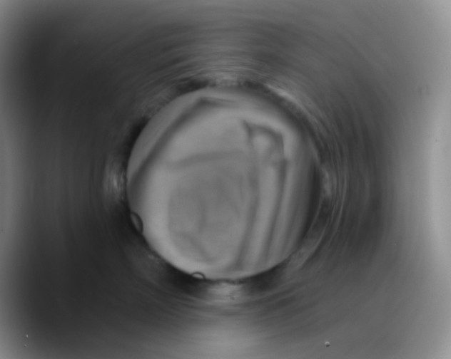 X0000089720718200707201821