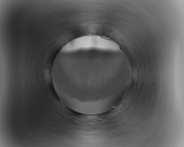 X0000089720719200707201821