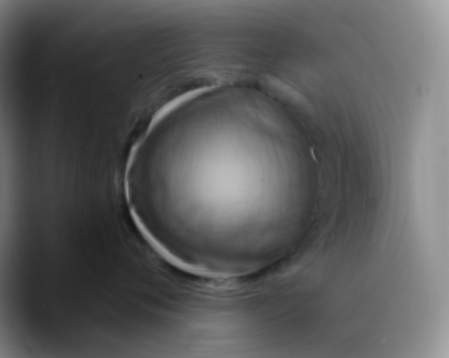 X0000089720720200707201821