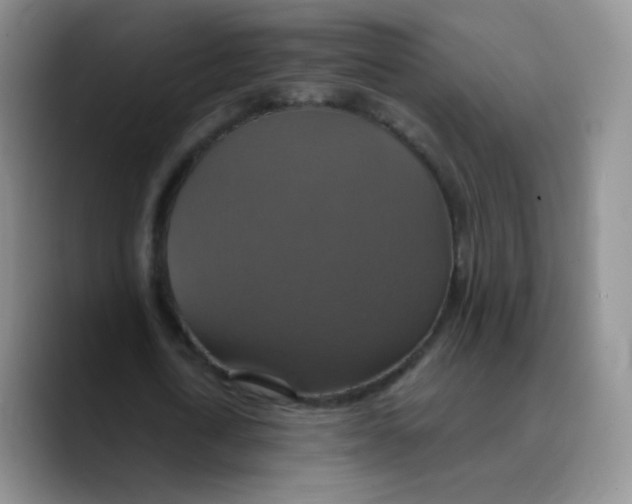 X0000089720722200707201820