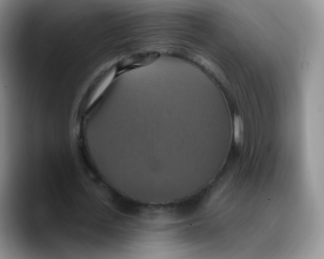 X0000089720723200707201820
