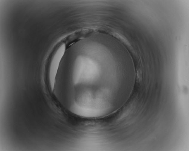 X0000089720724200707201820