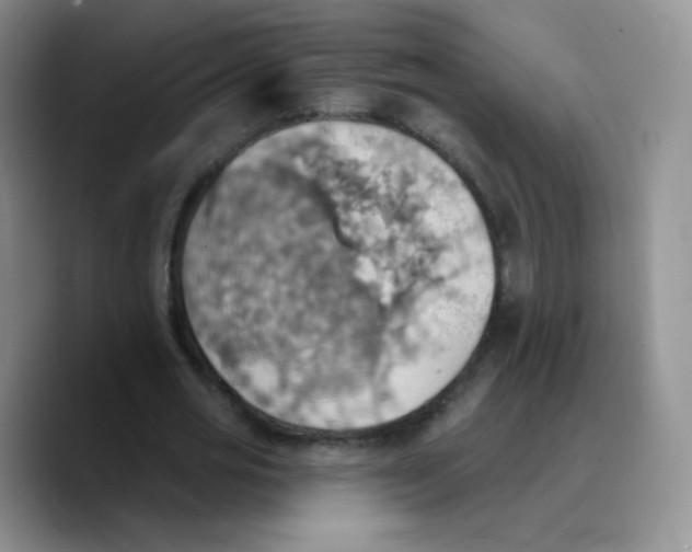 X0000089720725200707201820
