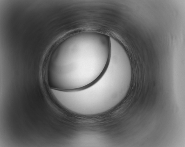X0000089720726200707201820