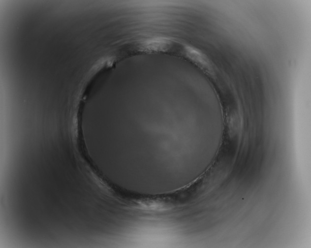 X0000089720729200707201820
