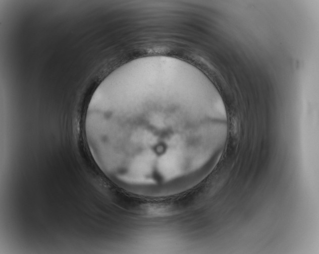 X0000089720733200707201820