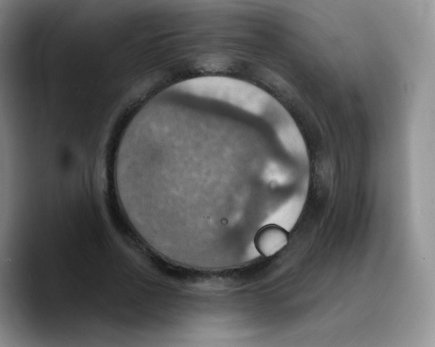 X0000089720734200707201820