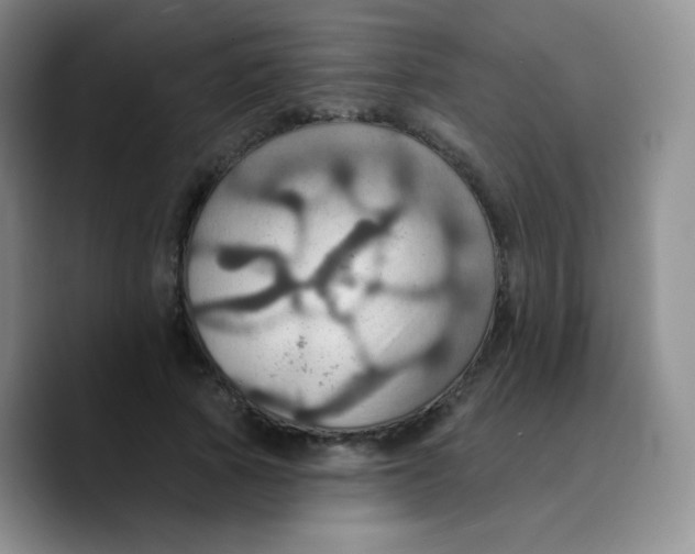 X0000089720737200707201820