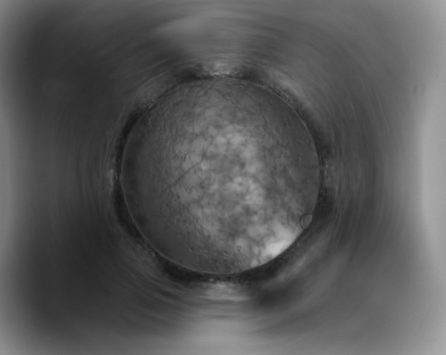 X0000089720741200707201820