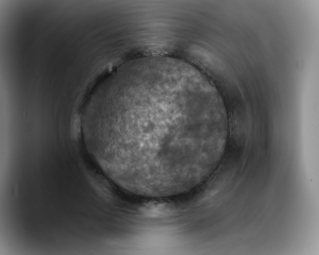 X0000089720742200707201820
