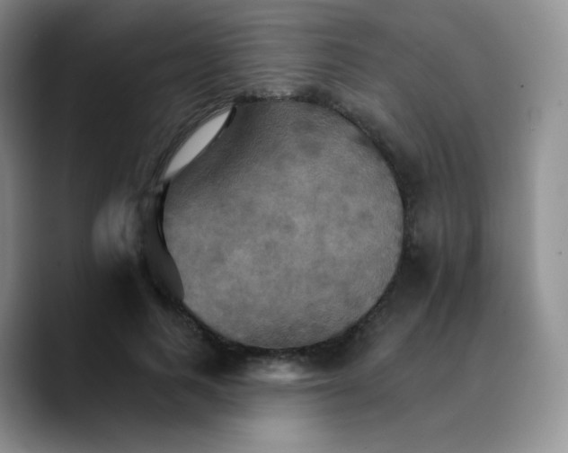 X0000089720743200707201820