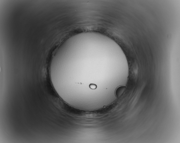 X0000089720746200707201820