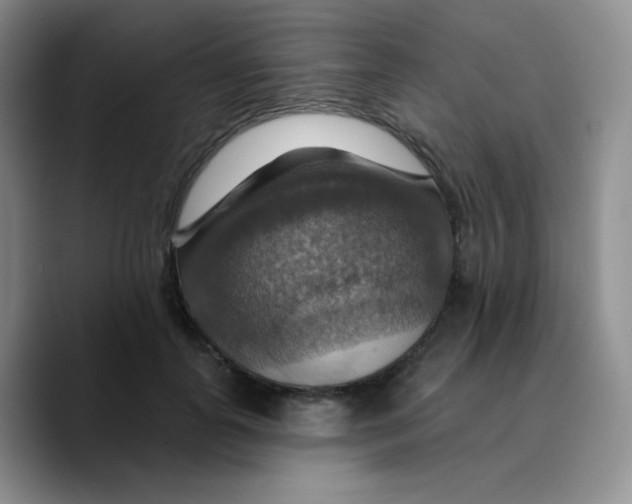 X0000089720747200707201820
