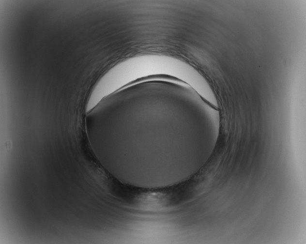 X0000089720748200707201820