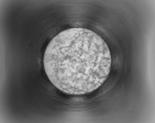 X0000089720749200707201820