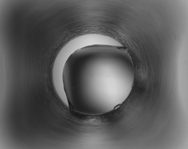 X0000089720750200707201820