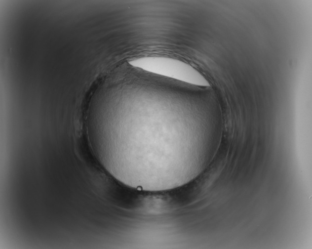 X0000089720751200707201820