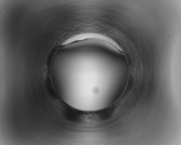 X0000089720752200707201820