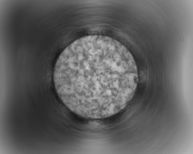 X0000089720753200707201820