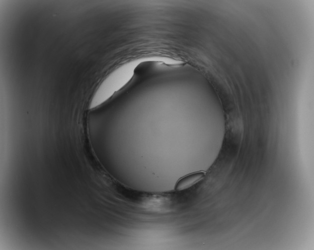 X0000089720754200707201820