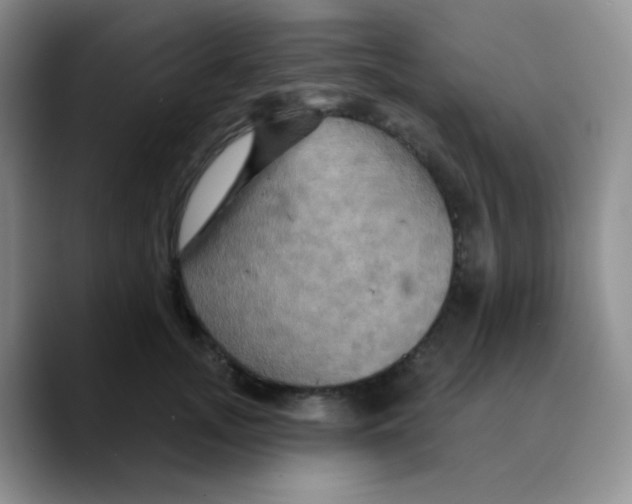 X0000089720755200707201820