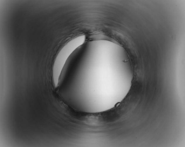 X0000089720756200707201820
