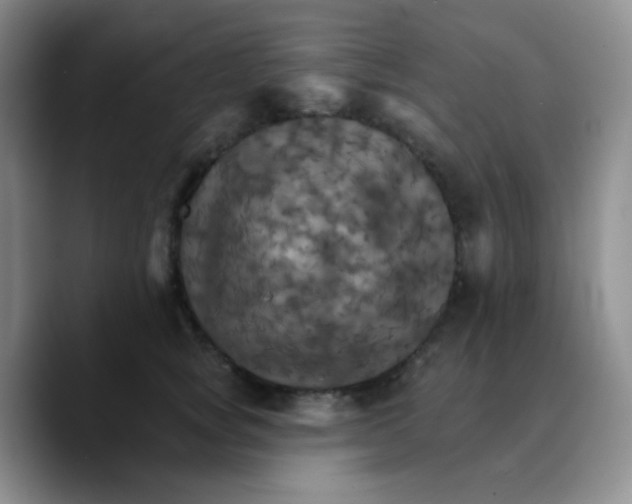 X0000089720757200707201820
