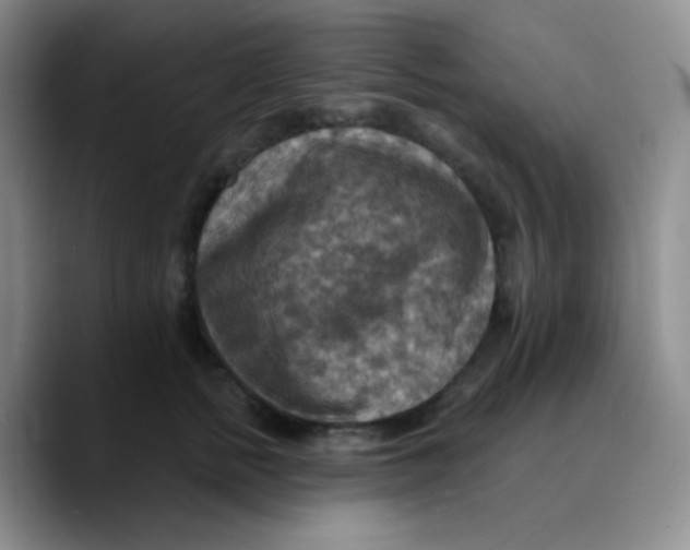 X0000089720758200707201820