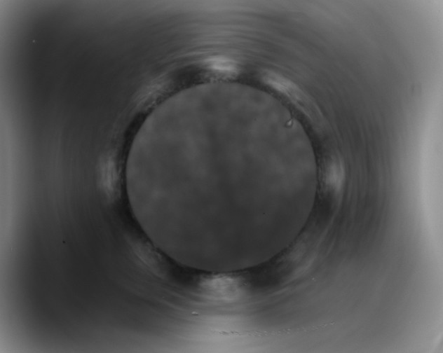 X0000089720759200707201820