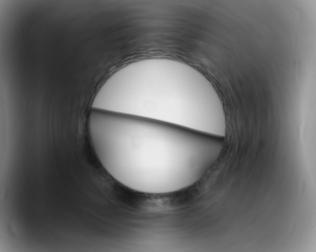 X0000089720760200707201820