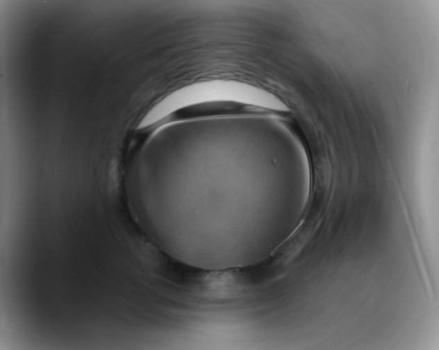 X0000089720762200707201820