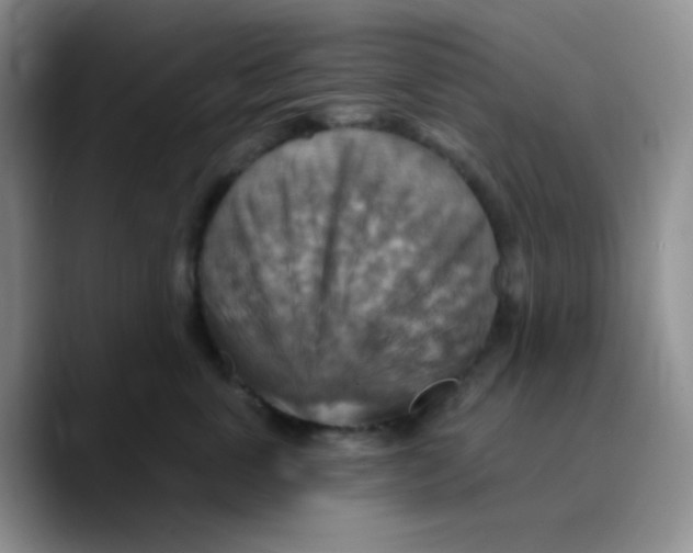 X0000089720763200707201820