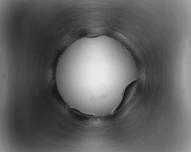 X0000089720764200707201820