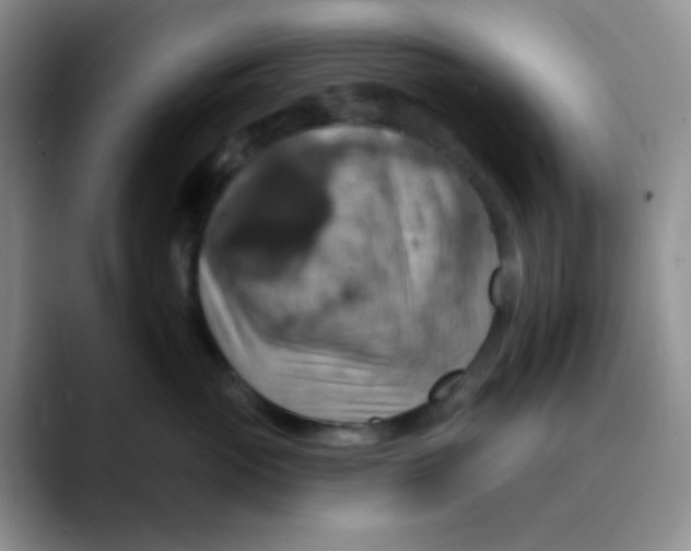 X0000089720765200707201820