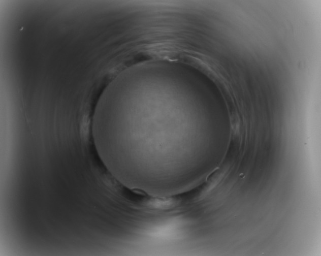 X0000089720767200707201821