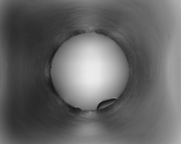 X0000089720768200707201821