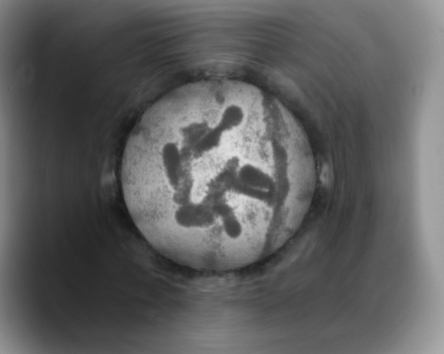 X0000089720771200707201820