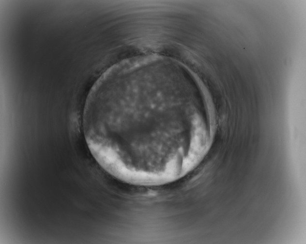 X0000089720772200707201820