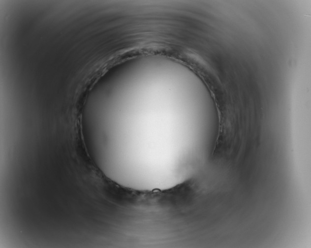X0000089720773200707201820